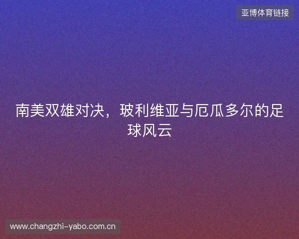 南美双雄对决，玻利维亚与厄瓜多尔的足球风云